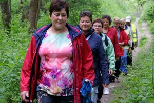 Wandeling naar de Midzeelhoeve - 13 juni 2013