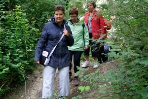 Wandeling naar de Midzeelhoeve - 13 juni 2013