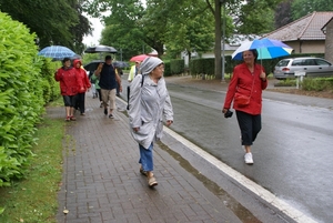 Wandeling naar de Midzeelhoeve - 13 juni 2013