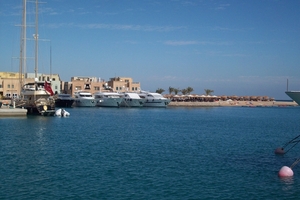 102_6894