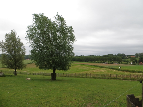 2013-06 13 Kluisbergen 012