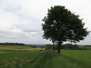 2013-06 13 Kluisbergen 028