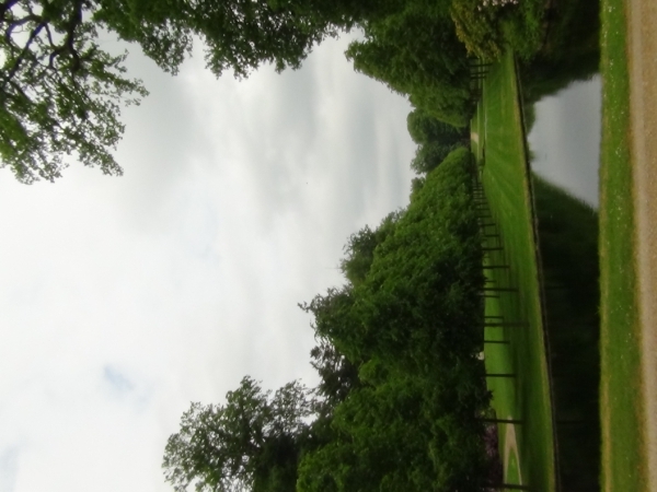 DSC01653
