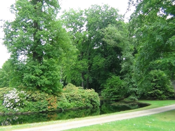 DSC01654