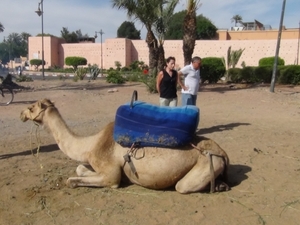 reis naar Marrakesh 309