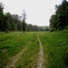 en door