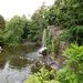 DSCN0868