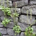 DSCN0880