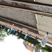 DSCN0941
