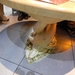DSCN1029