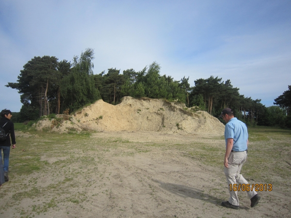 wandeling in Hamont 16-6-2013 003