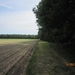 wandeling in Hamont 16-6-2013 008