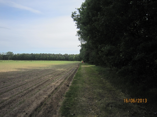 wandeling in Hamont 16-6-2013 008