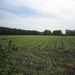 wandeling in Hamont 16-6-2013 009