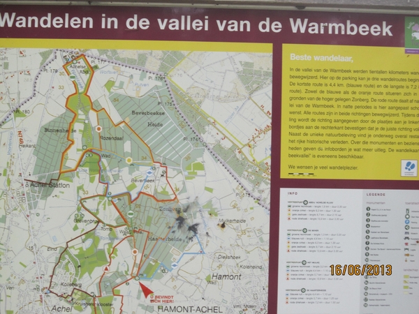 wandeling in Hamont 16-6-2013 011