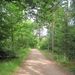 wandeling in Hamont 16-6-2013 012