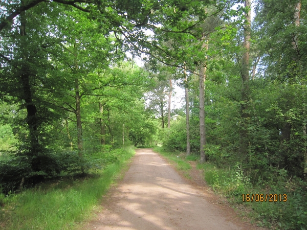 wandeling in Hamont 16-6-2013 012