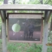 wandeling in Hamont 16-6-2013 017