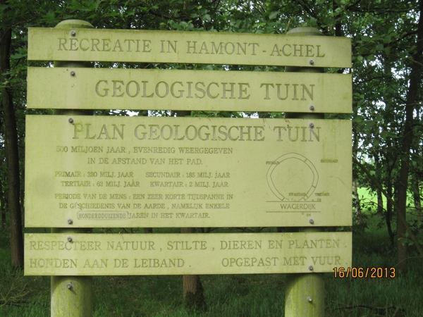 wandeling in Hamont 16-6-2013 019