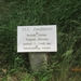 wandeling in Hamont 16-6-2013 021