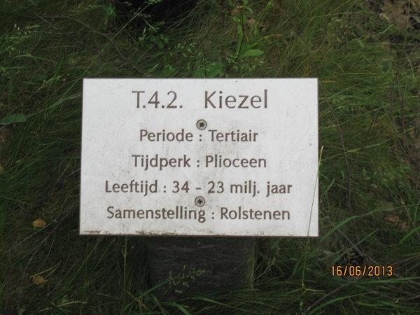 wandeling in Hamont 16-6-2013 023