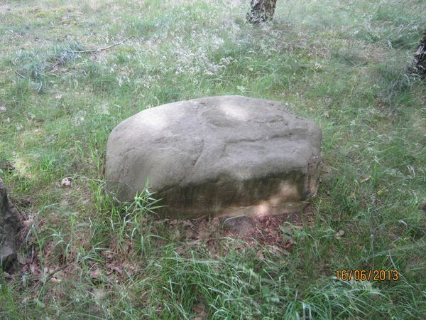 wandeling in Hamont 16-6-2013 028