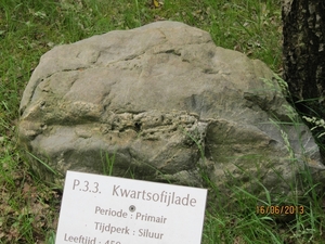 wandeling in Hamont 16-6-2013 033