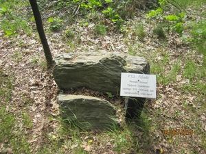 wandeling in Hamont 16-6-2013 037