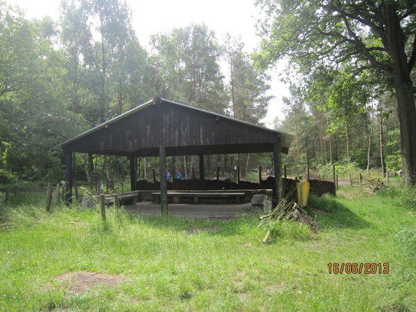 wandeling in Hamont 16-6-2013 040