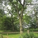 wandeling in Hamont 16-6-2013 041