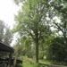 wandeling in Hamont 16-6-2013 042