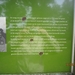 wandeling in Hamont 16-6-2013 045