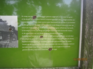 wandeling in Hamont 16-6-2013 045
