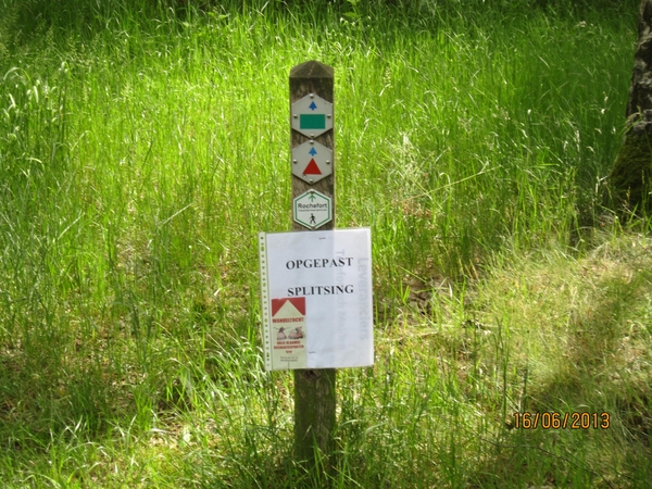 wandeling in Hamont 16-6-2013 050