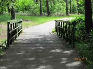wandeling in Hamont 16-6-2013 051