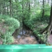 wandeling in Hamont 16-6-2013 052
