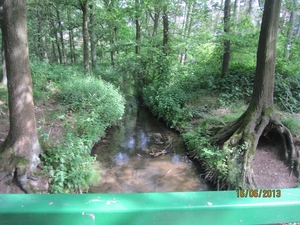 wandeling in Hamont 16-6-2013 052