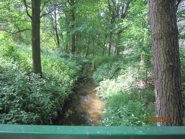 wandeling in Hamont 16-6-2013 053