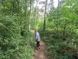 wandeling in Hamont 16-6-2013 054