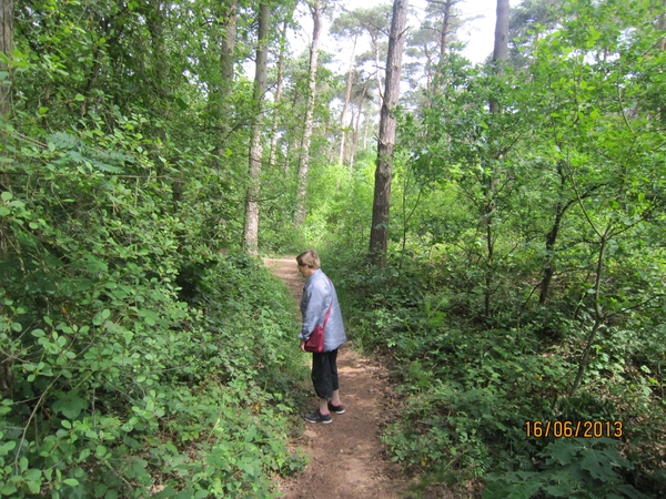 wandeling in Hamont 16-6-2013 054