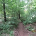 wandeling in Hamont 16-6-2013 055
