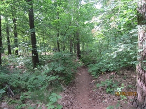 wandeling in Hamont 16-6-2013 055