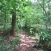 wandeling in Hamont 16-6-2013 056