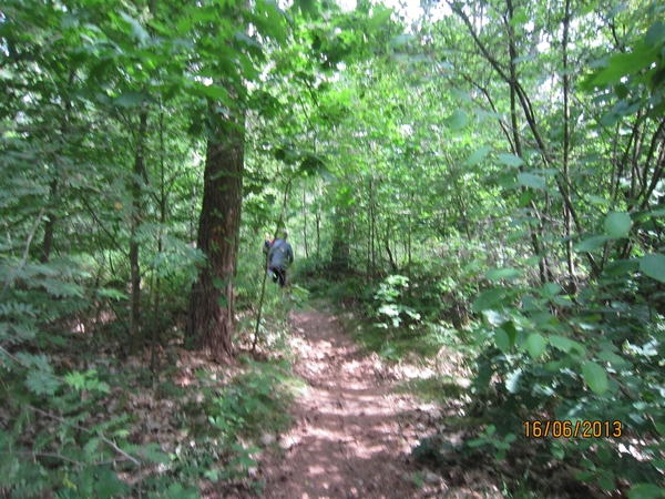 wandeling in Hamont 16-6-2013 056