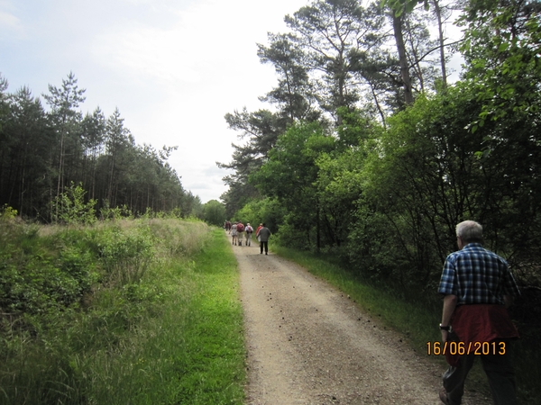 wandeling in Hamont 16-6-2013 064