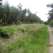 wandeling in Hamont 16-6-2013 065