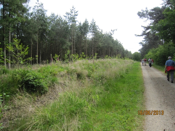 wandeling in Hamont 16-6-2013 065