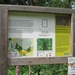 wandeling in Hamont 16-6-2013 069