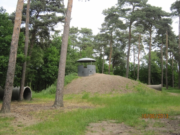 wandeling in Hamont 16-6-2013 073