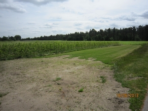 wandeling in Hamont 16-6-2013 074